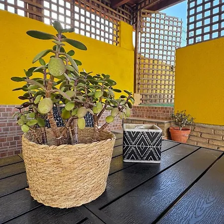 بيت للعطل Zen Terrace Townhouse